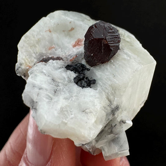 Spessartine Garnet with Albite (Pakistan) | raw garnet crystal, garnet crystal, rare crystals, orange garnet, mineral specimen