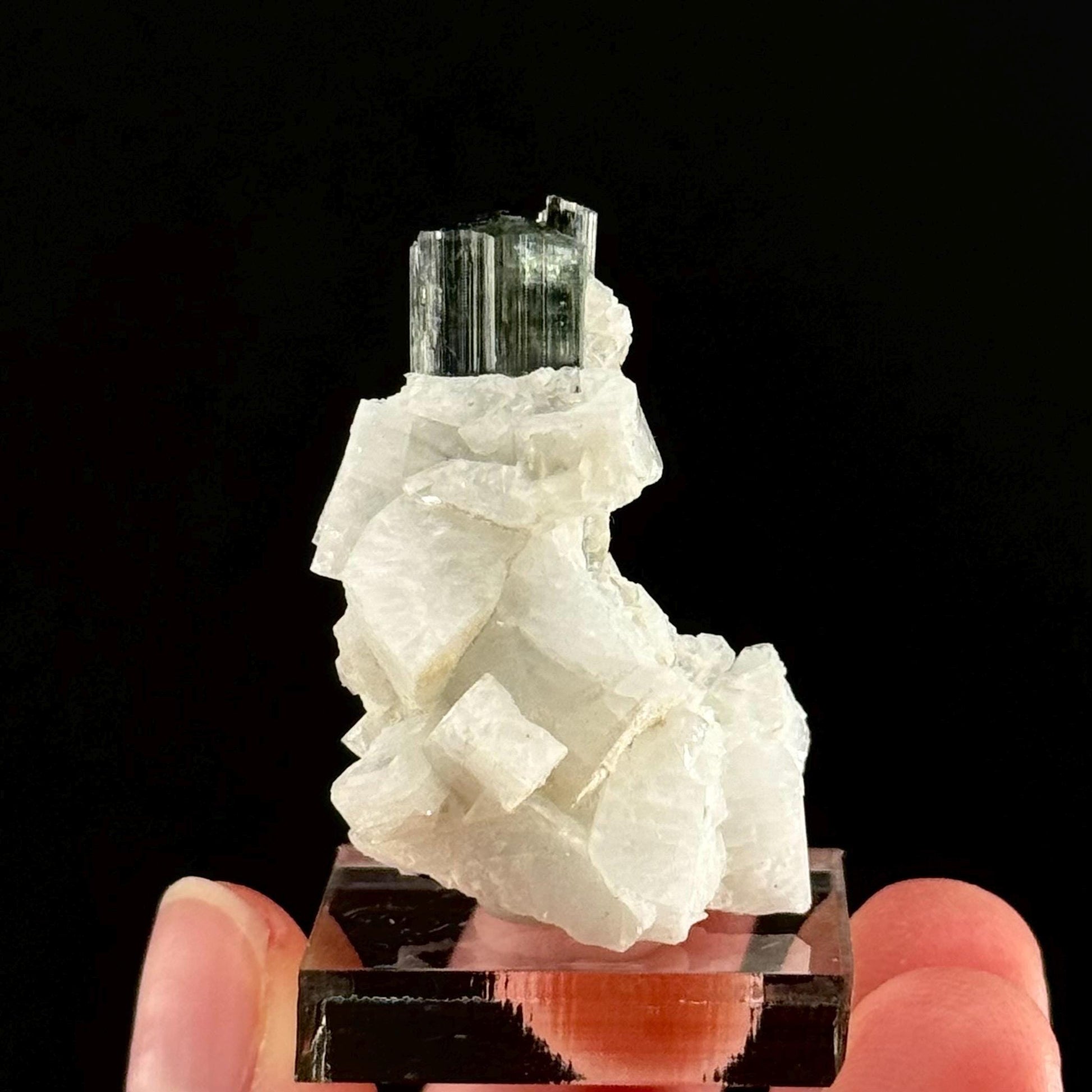 Green Cap Tourmaline with Albite (Pakistan) | raw tourmaline, green tourmaline, tourmaline crystal, rare minerals, rare crystals