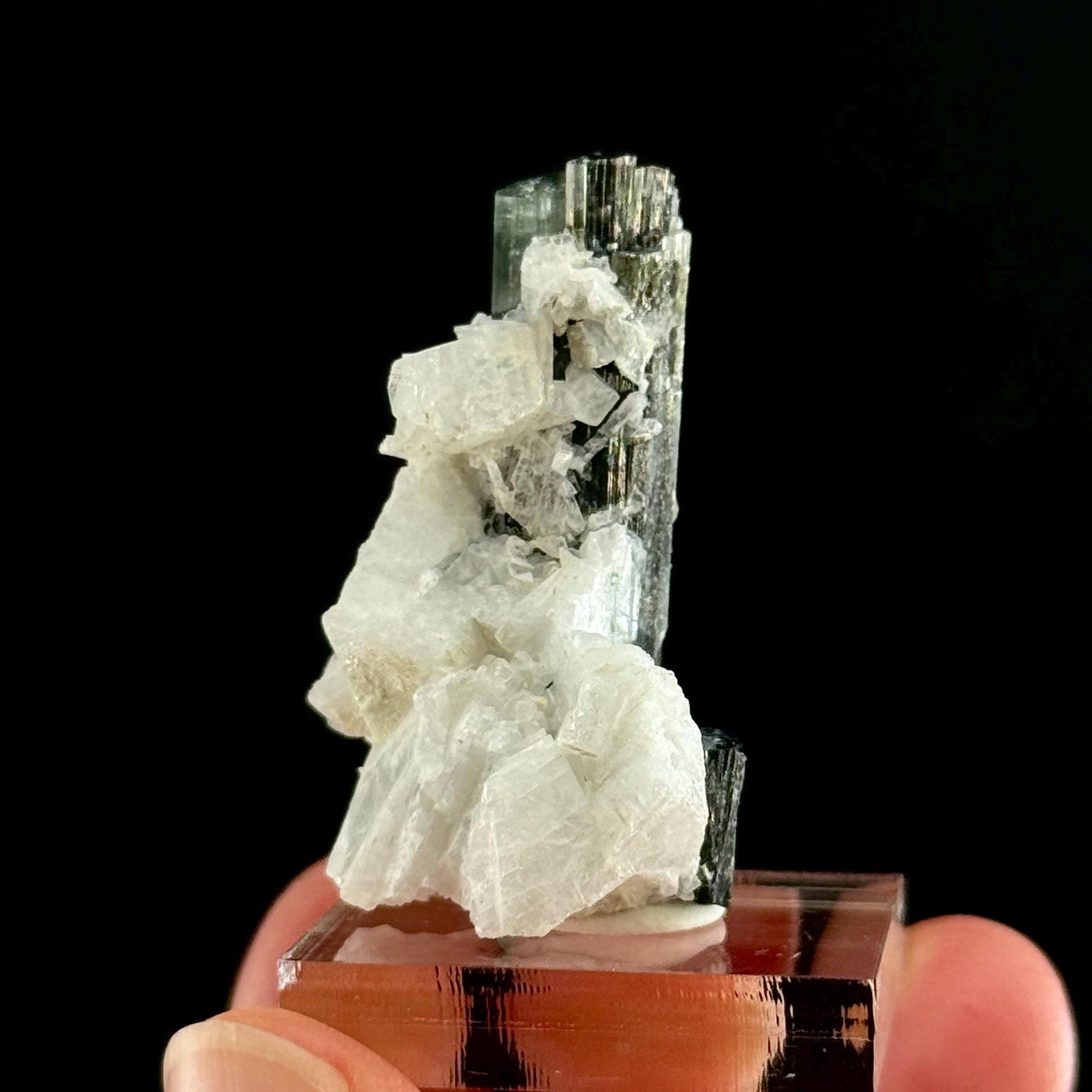 Green Cap Tourmaline with Albite (Pakistan) | raw tourmaline, green tourmaline, tourmaline crystal, rare minerals, rare crystals