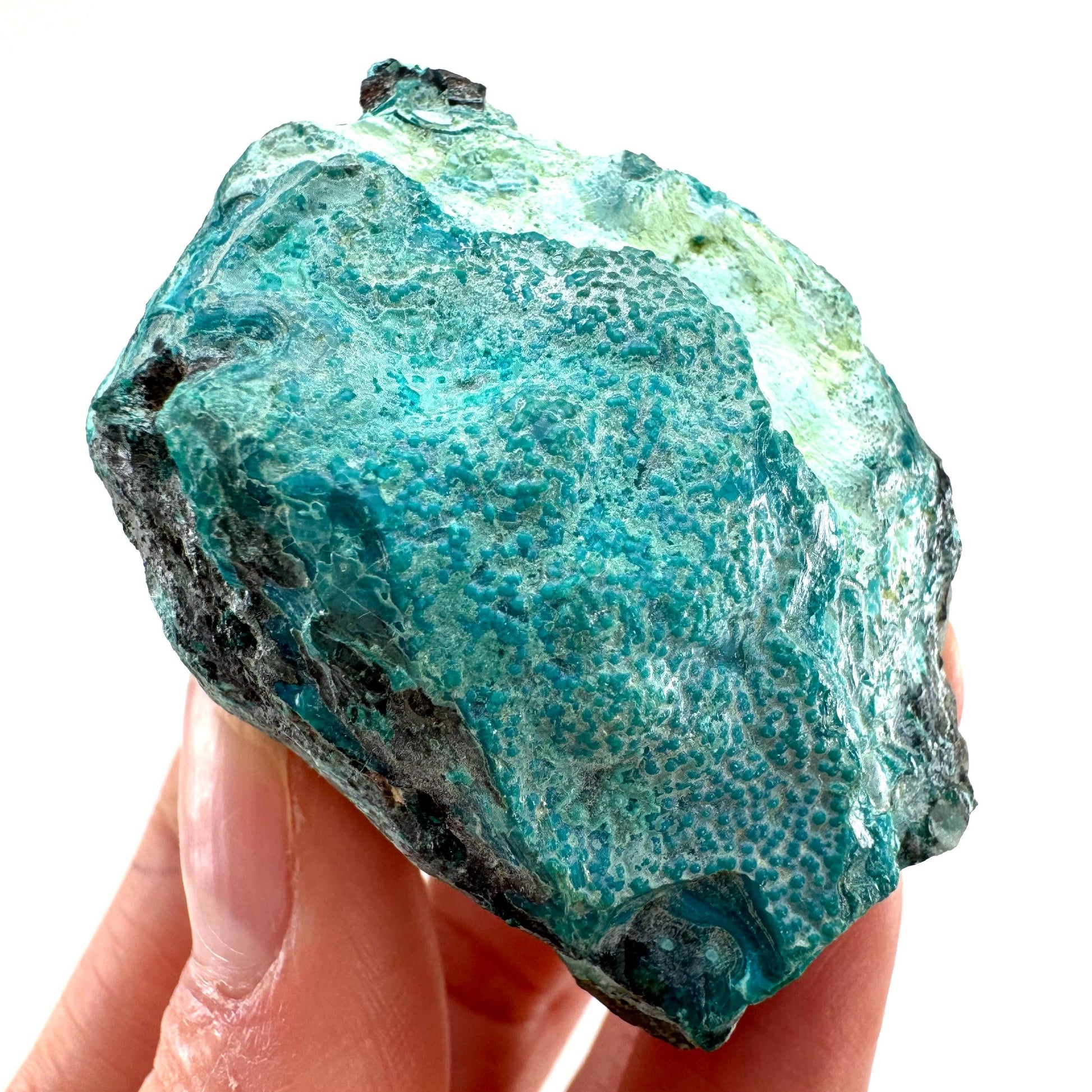 Chrysocolla Specimen (Congo), raw chrysocolla, botryoidal chrysocolla, chrysocolla crystal, rare crystals