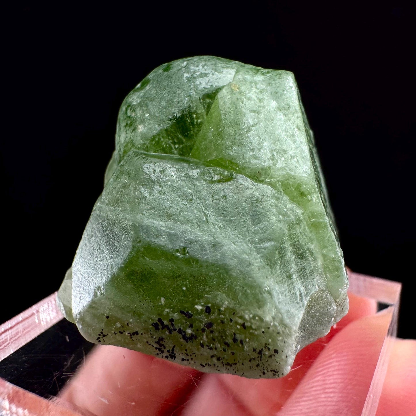 Naturally terminated peridot crystal (Pakistan) | raw peridot, natural peridot, peridot crystal, peridot point