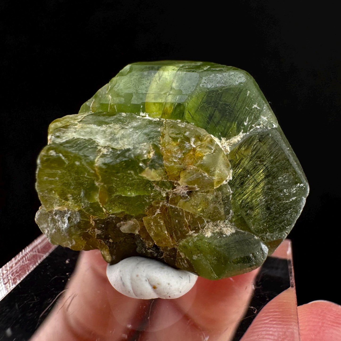 Naturally terminated peridot crystal (Pakistan) | raw peridot, natural peridot, peridot crystal, peridot point