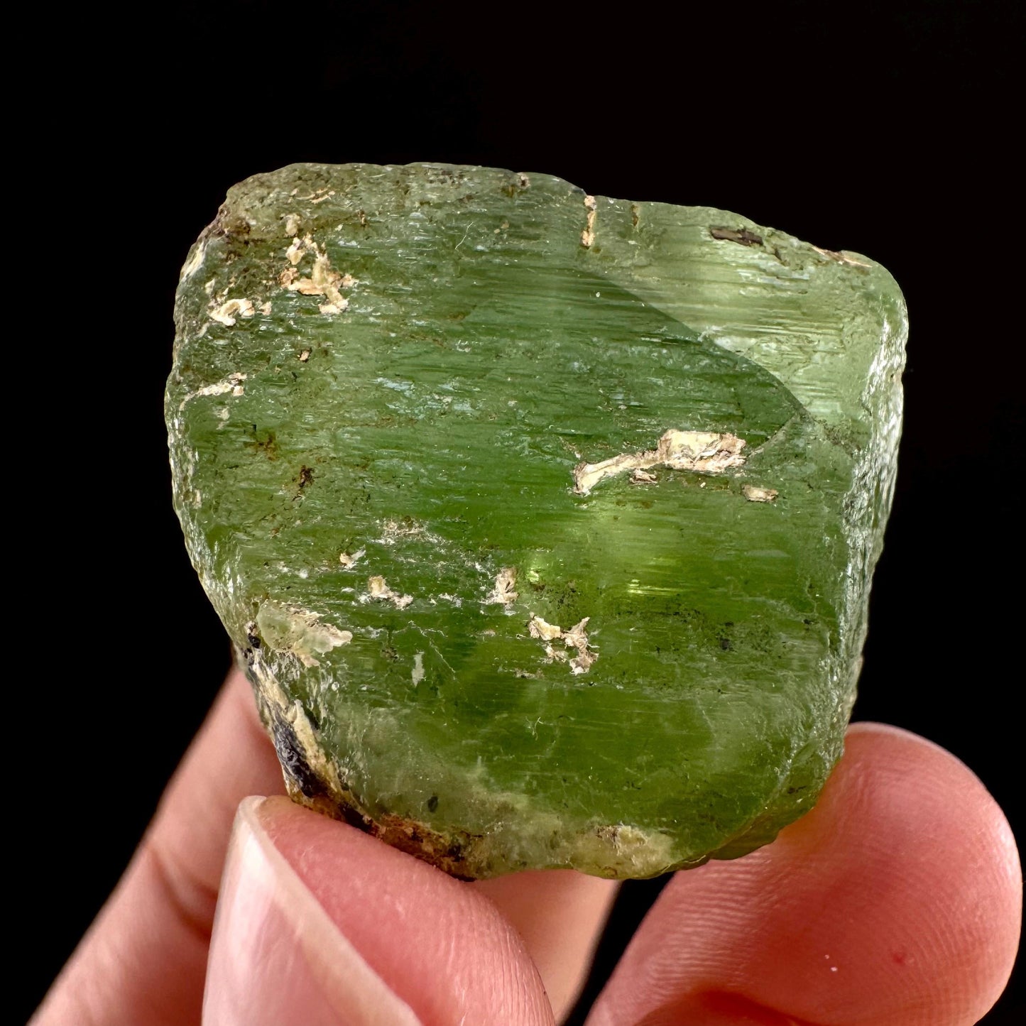 Naturally terminated peridot crystal (Pakistan) | raw peridot, natural peridot, peridot crystal, peridot point