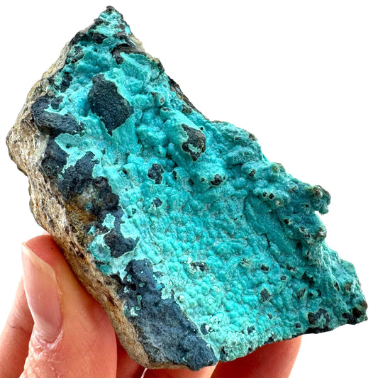 Chrysocolla Specimen (Congo), raw chrysocolla, botryoidal chrysocolla, chrysocolla crystal, rare crystals