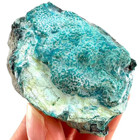 Chrysocolla Specimen (Congo), raw chrysocolla, botryoidal chrysocolla, chrysocolla crystal, rare crystals