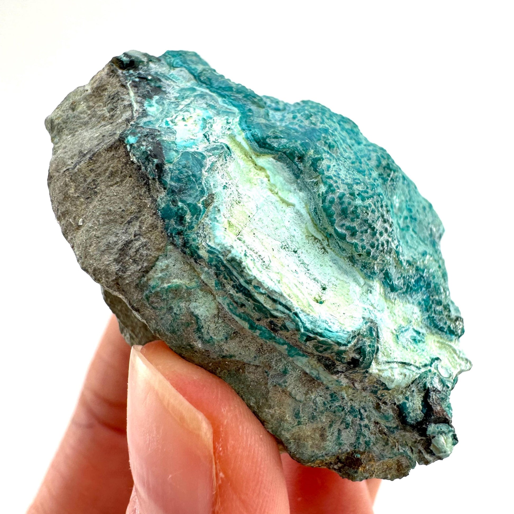 Chrysocolla Specimen (Congo), raw chrysocolla, botryoidal chrysocolla, chrysocolla crystal, rare crystals