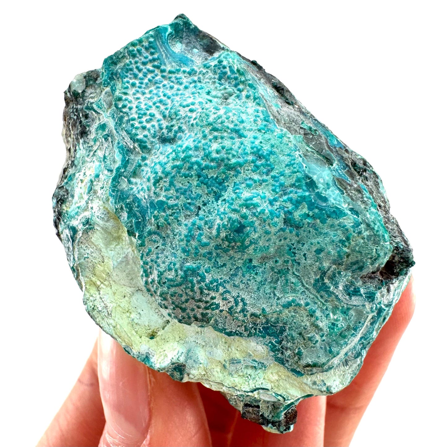 Chrysocolla Specimen (Congo), raw chrysocolla, botryoidal chrysocolla, chrysocolla crystal, rare crystals