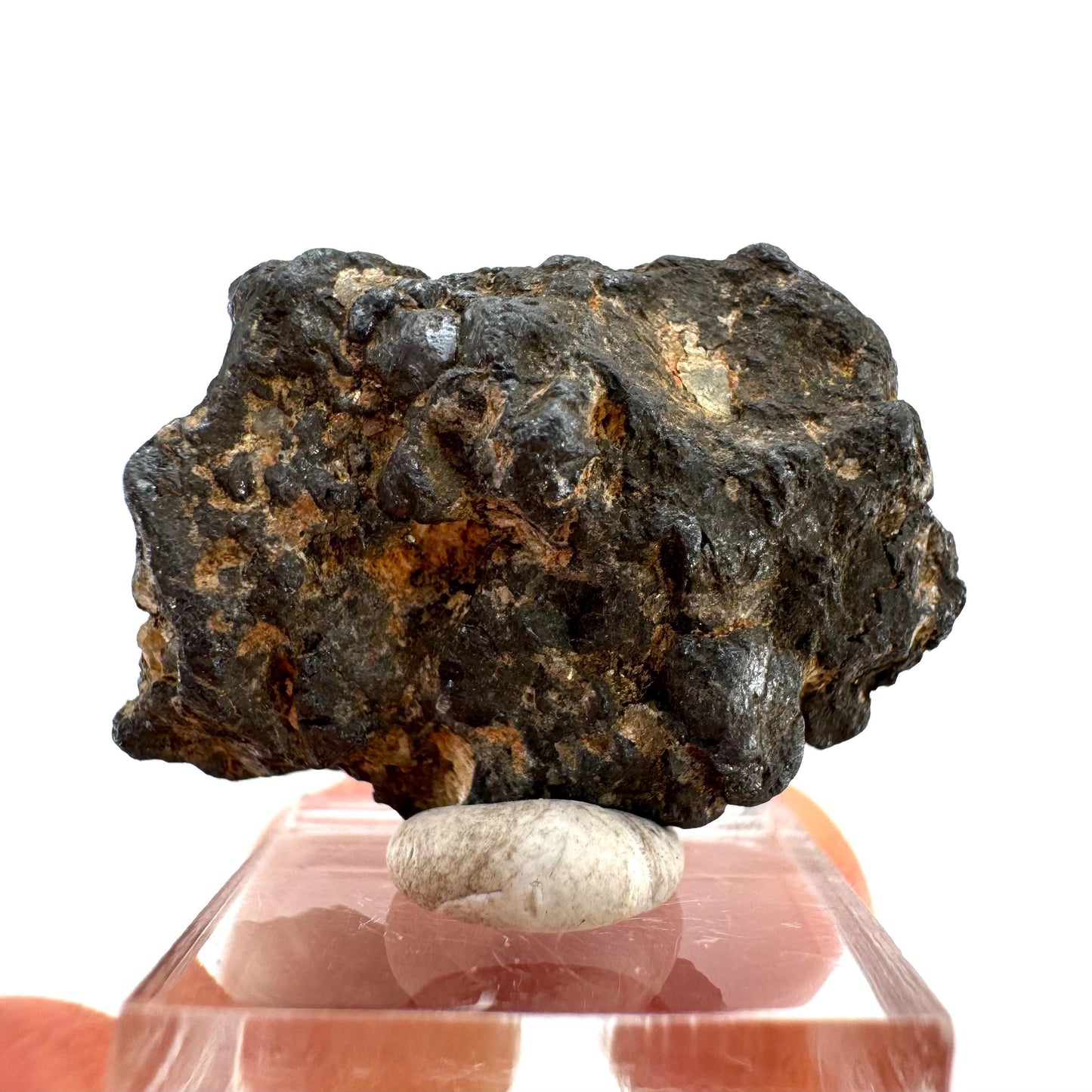 Columbite - Fe Specimen (Madagascar) | Columbite crystal, niobium, tantalite, rare minerals, rare crystals