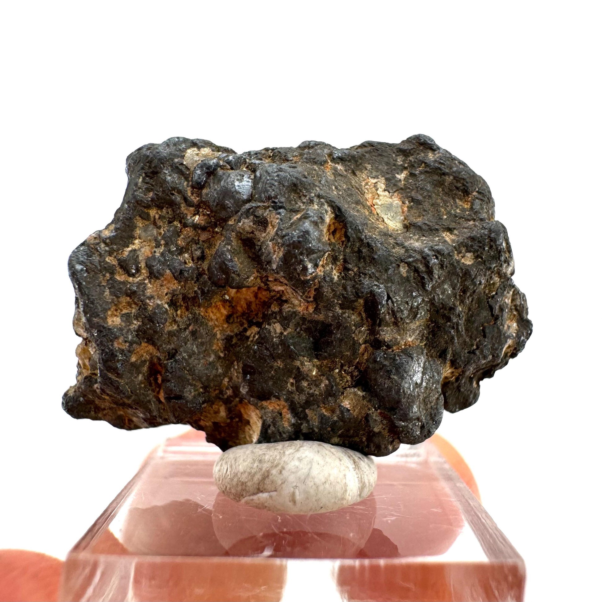 Columbite - Fe Specimen (Madagascar) | Columbite crystal, niobium, tantalite, rare minerals, rare crystals