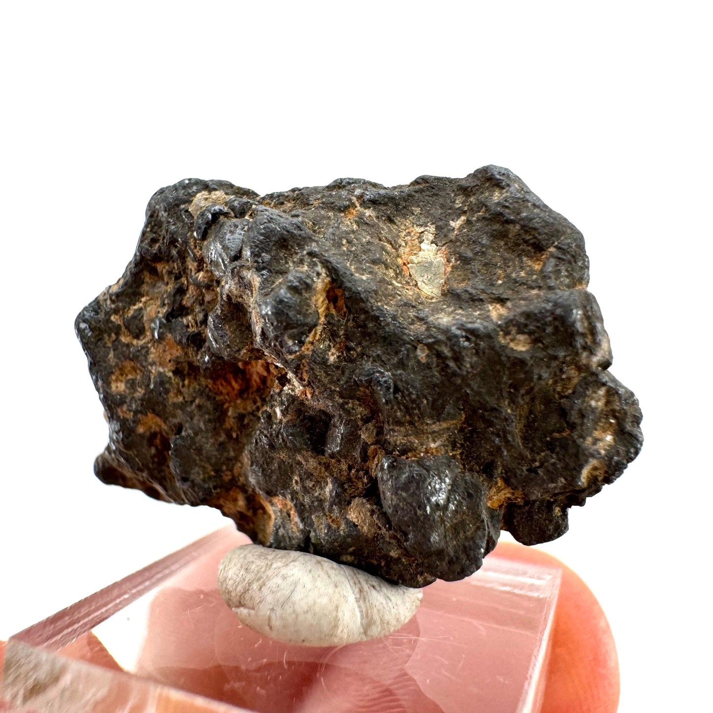 Columbite - Fe Specimen (Madagascar) | Columbite crystal, niobium, tantalite, rare minerals, rare crystals