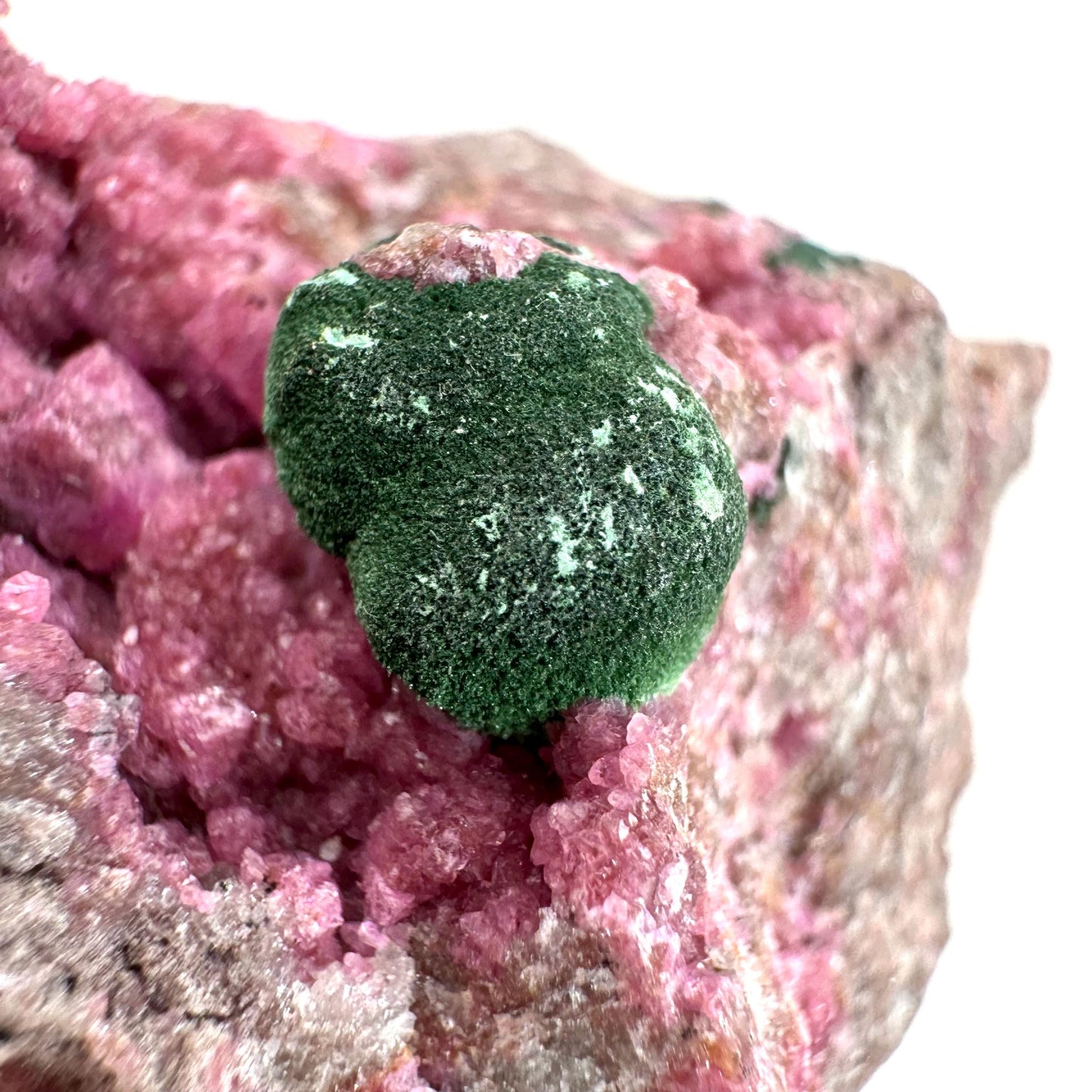 Sparkly Cobalto Calcite & Malachite Specimen (Congo), cobalto calcite, cobaltoan calcite, salrose