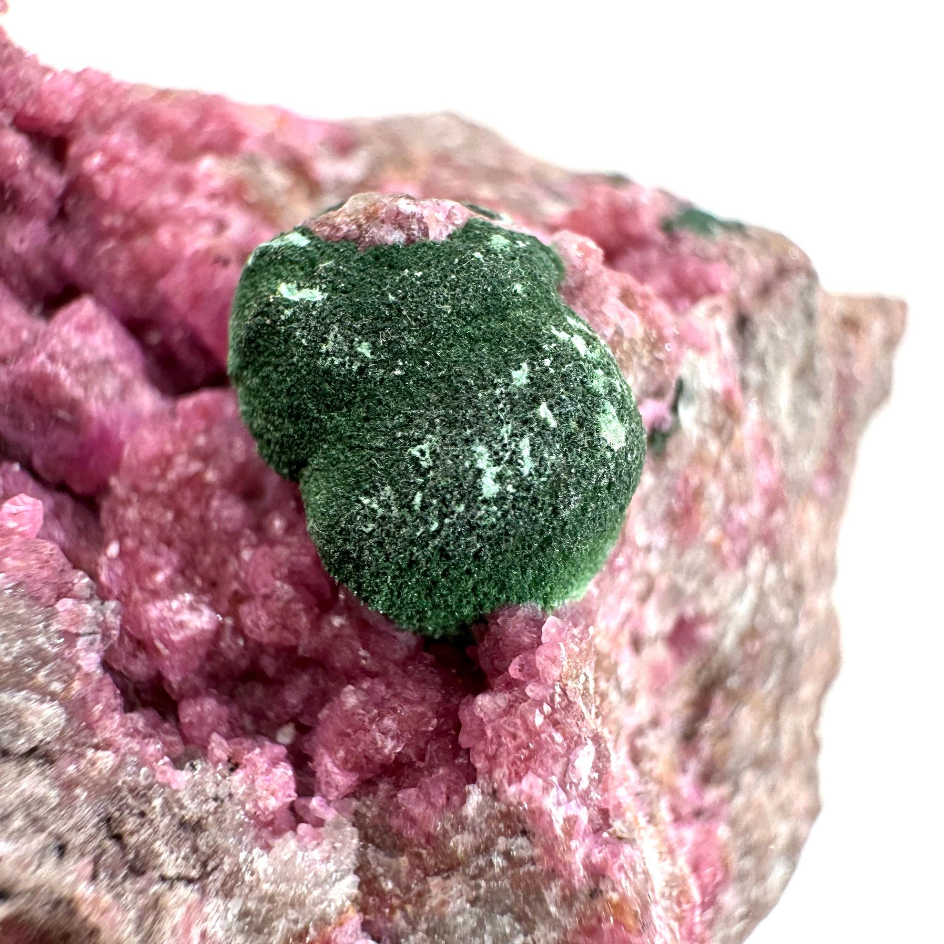Sparkly Cobalto Calcite & Malachite Specimen (Congo), cobalto calcite, cobaltoan calcite, salrose