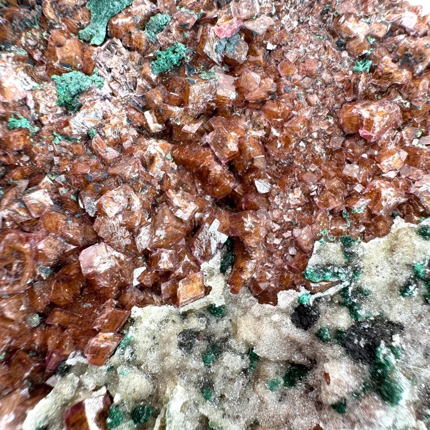 Sparkly Cobalto Calcite & Malachite Specimen (Congo), cobalto calcite, cobaltoan calcite, salrose