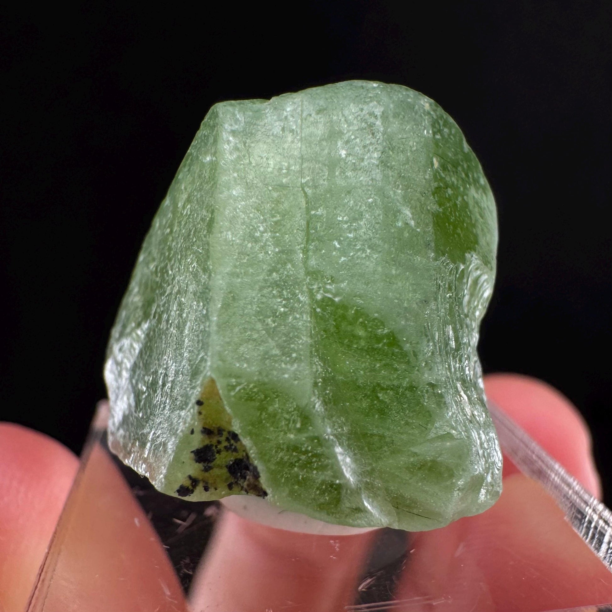 Naturally terminated peridot crystal (Pakistan) | raw peridot, natural peridot, peridot crystal, peridot point