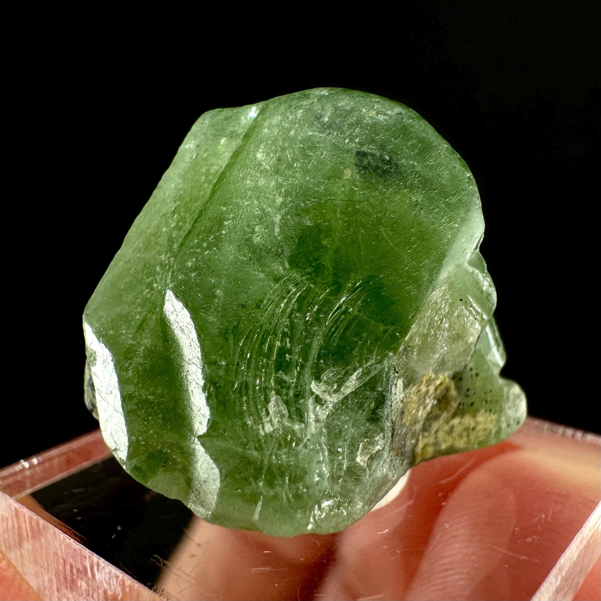 Naturally terminated peridot crystal (Pakistan) | raw peridot, natural peridot, peridot crystal, peridot point