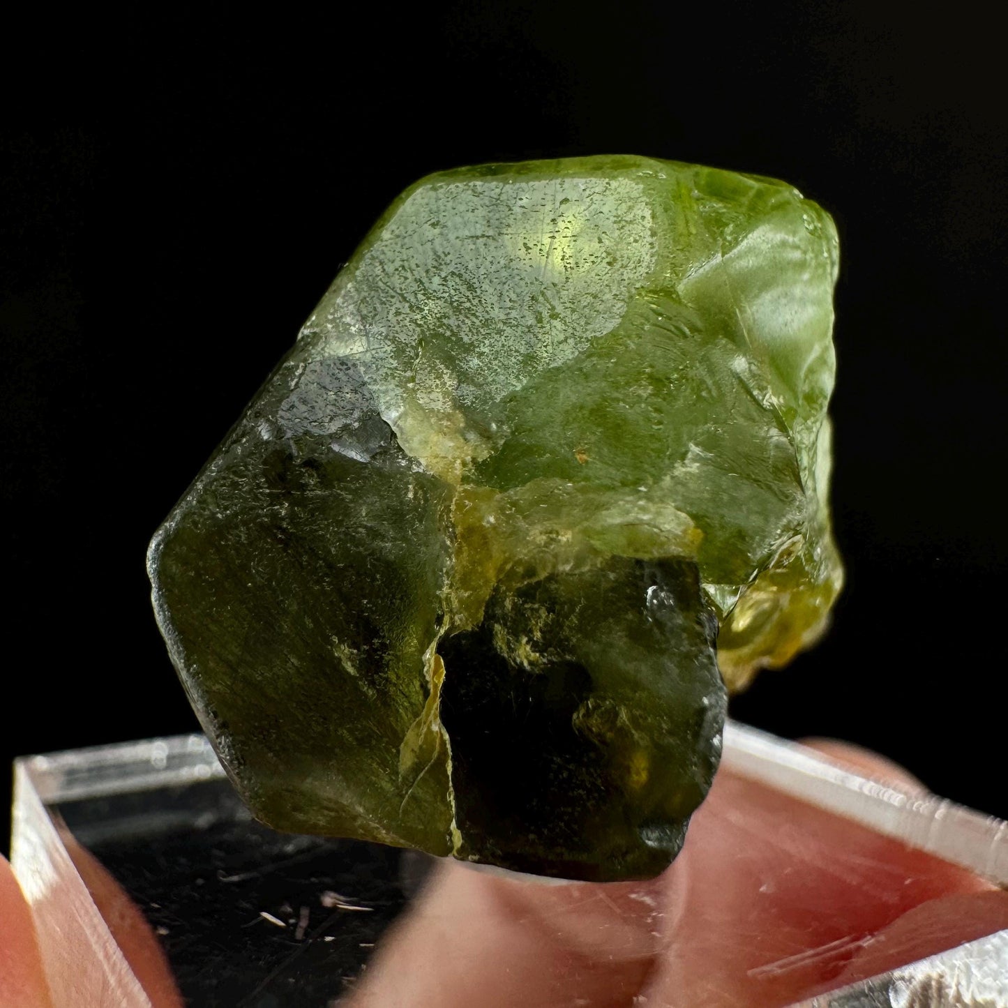 Naturally terminated peridot crystal (Pakistan) | raw peridot, natural peridot, peridot crystal, peridot point