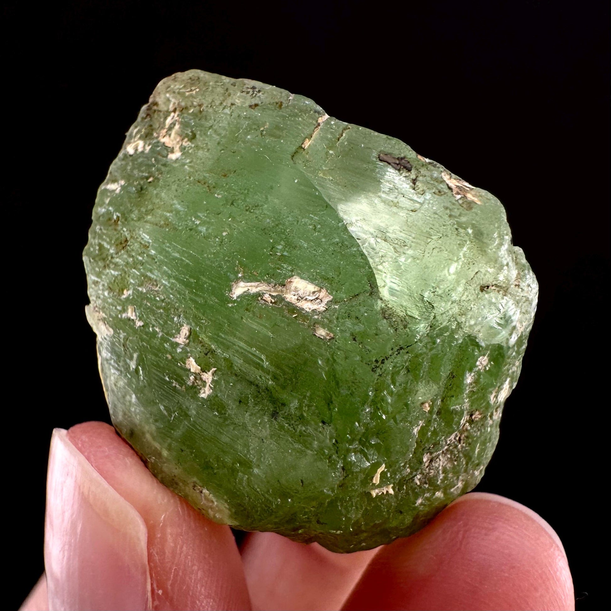 Naturally terminated peridot crystal (Pakistan) | raw peridot, natural peridot, peridot crystal, peridot point