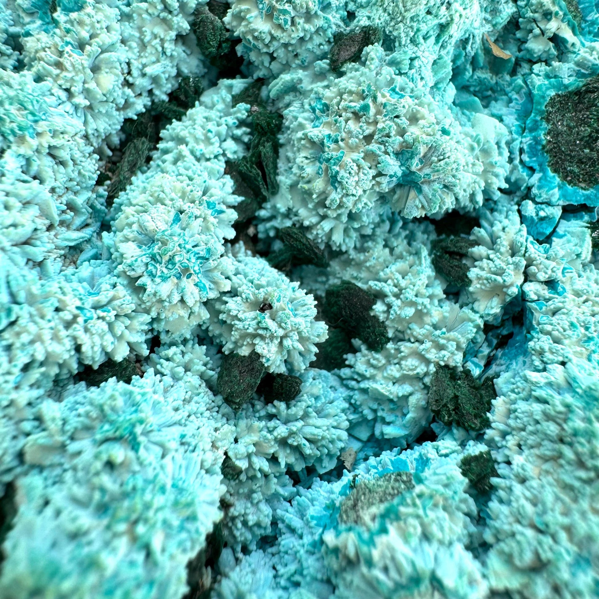 Semi Crystalline Chrysocolla over Malachite Specimen (Congo), raw chrysocolla, raw malachite, mineral specimen