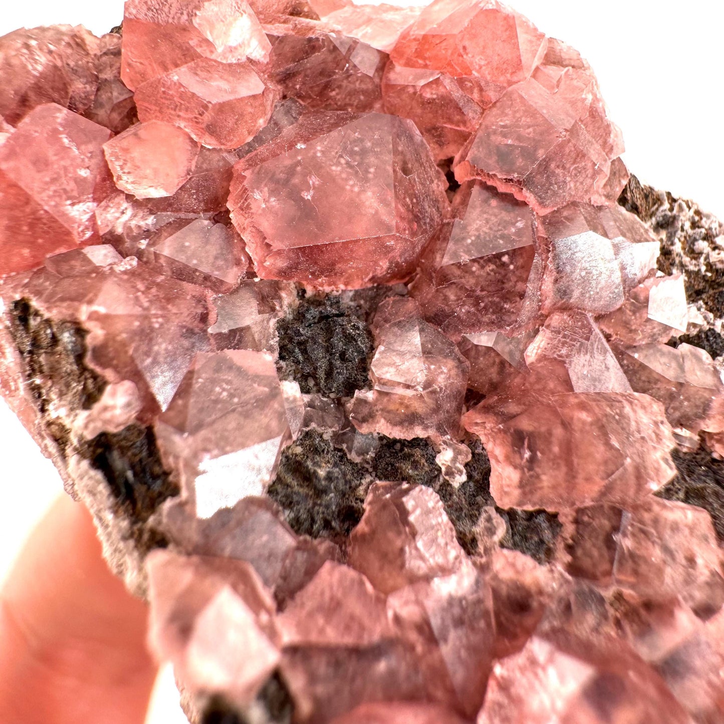 Rhodochrosite on Matrix (Peru) | rhodochrosite crystal, rare crystals, mineral specimen, rare minerals, natural rhodochrosite