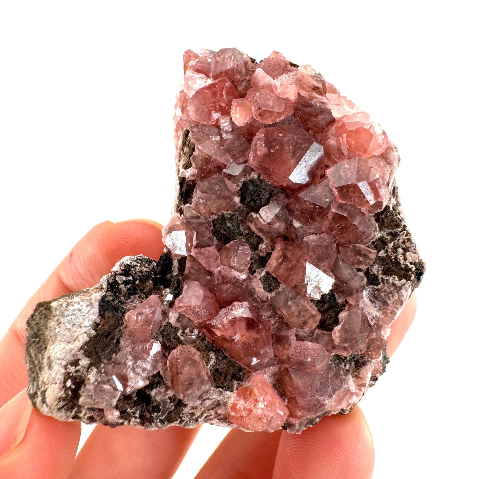 Rhodochrosite on Matrix (Peru) | rhodochrosite crystal, rare crystals, mineral specimen, rare minerals, natural rhodochrosite