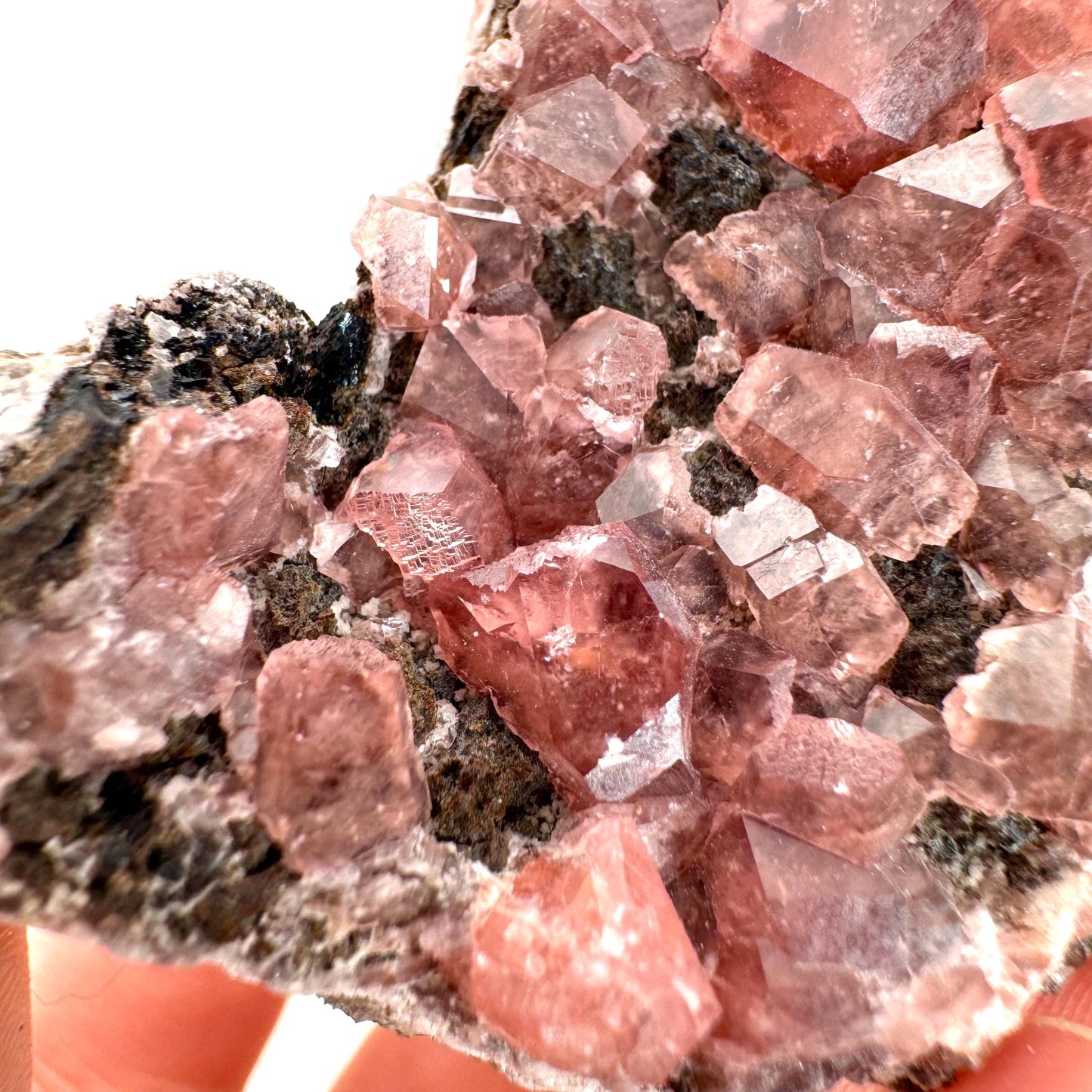 Rhodochrosite on Matrix (Peru) | rhodochrosite crystal, rare crystals, mineral specimen, rare minerals, natural rhodochrosite