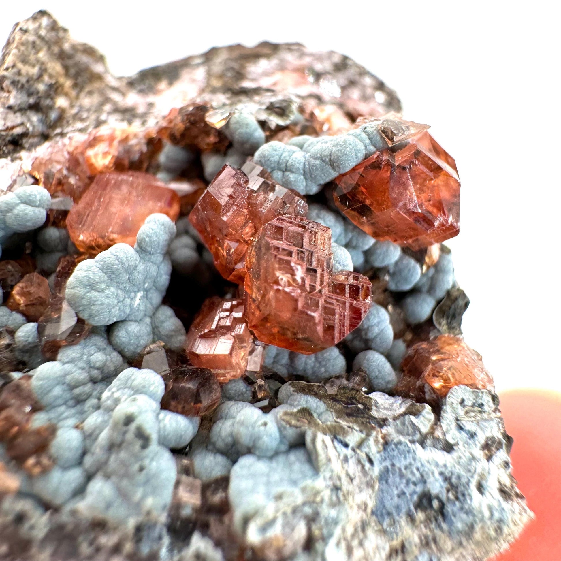 Rhodochrosite on Matrix (Peru) | rhodochrosite crystal, rare crystals, mineral specimen, rare minerals, natural rhodochrosite