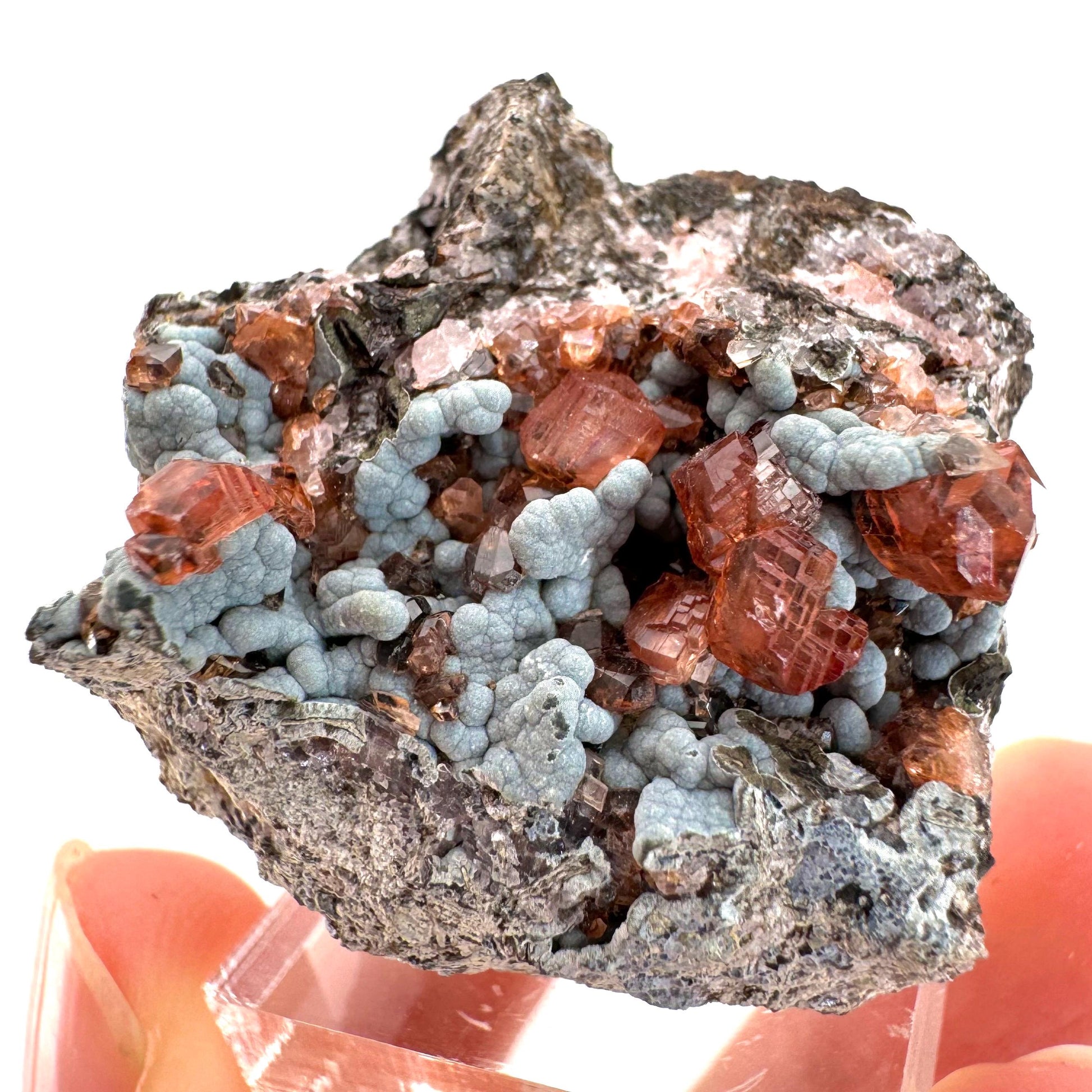 Rhodochrosite on Matrix (Peru) | rhodochrosite crystal, rare crystals, mineral specimen, rare minerals, natural rhodochrosite