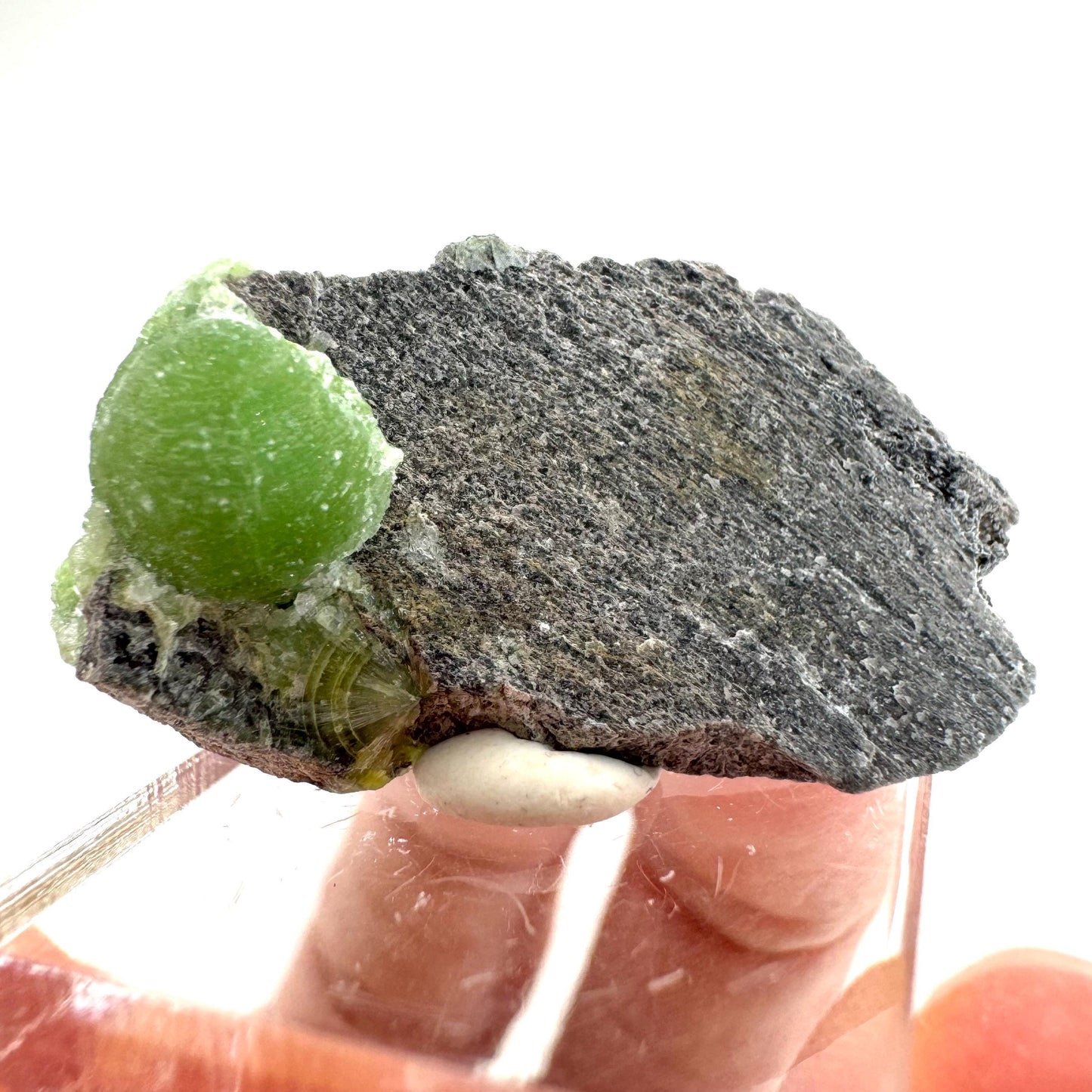 Wavellite Specimen (Arkansas, USA) | Wavellite crystal, wavellite cluster, mineral specimen, crystals