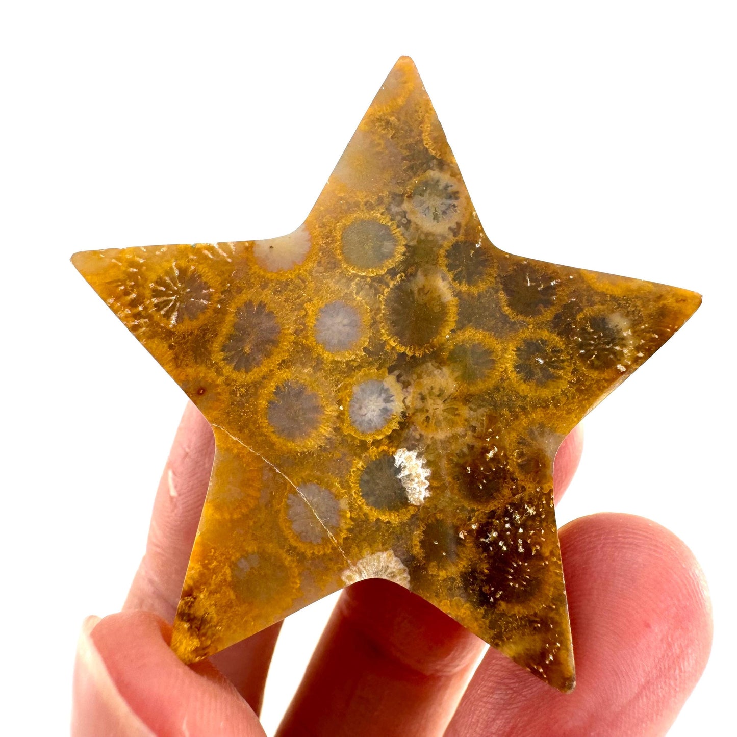 Coral Fossil Star, crystals, fossilized coral, gemstone cabochon, crystal star