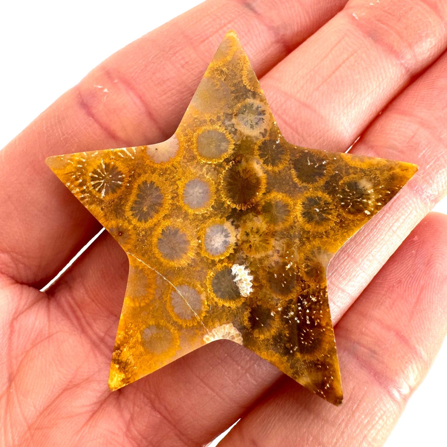 Coral Fossil Star, crystals, fossilized coral, gemstone cabochon, crystal star