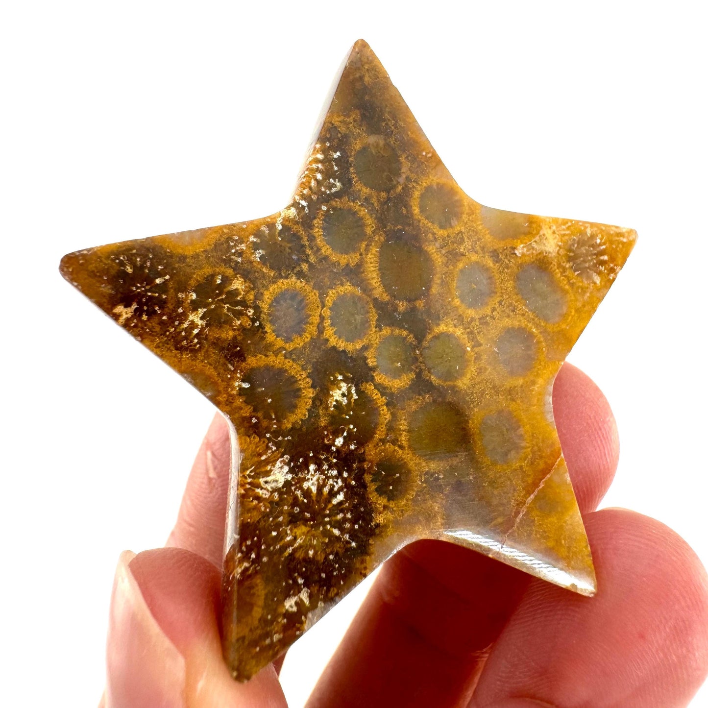 Coral Fossil Star, crystals, fossilized coral, gemstone cabochon, crystal star
