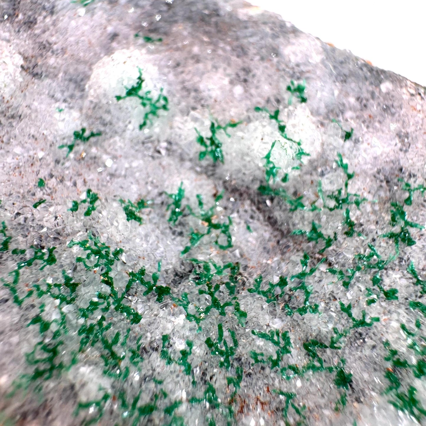 Sparkly Druzy Chrysocolla with Malachite Specimen (Congo), raw chrysocolla, druzy chrysocolla, chrysocolla crystal, raw crystals
