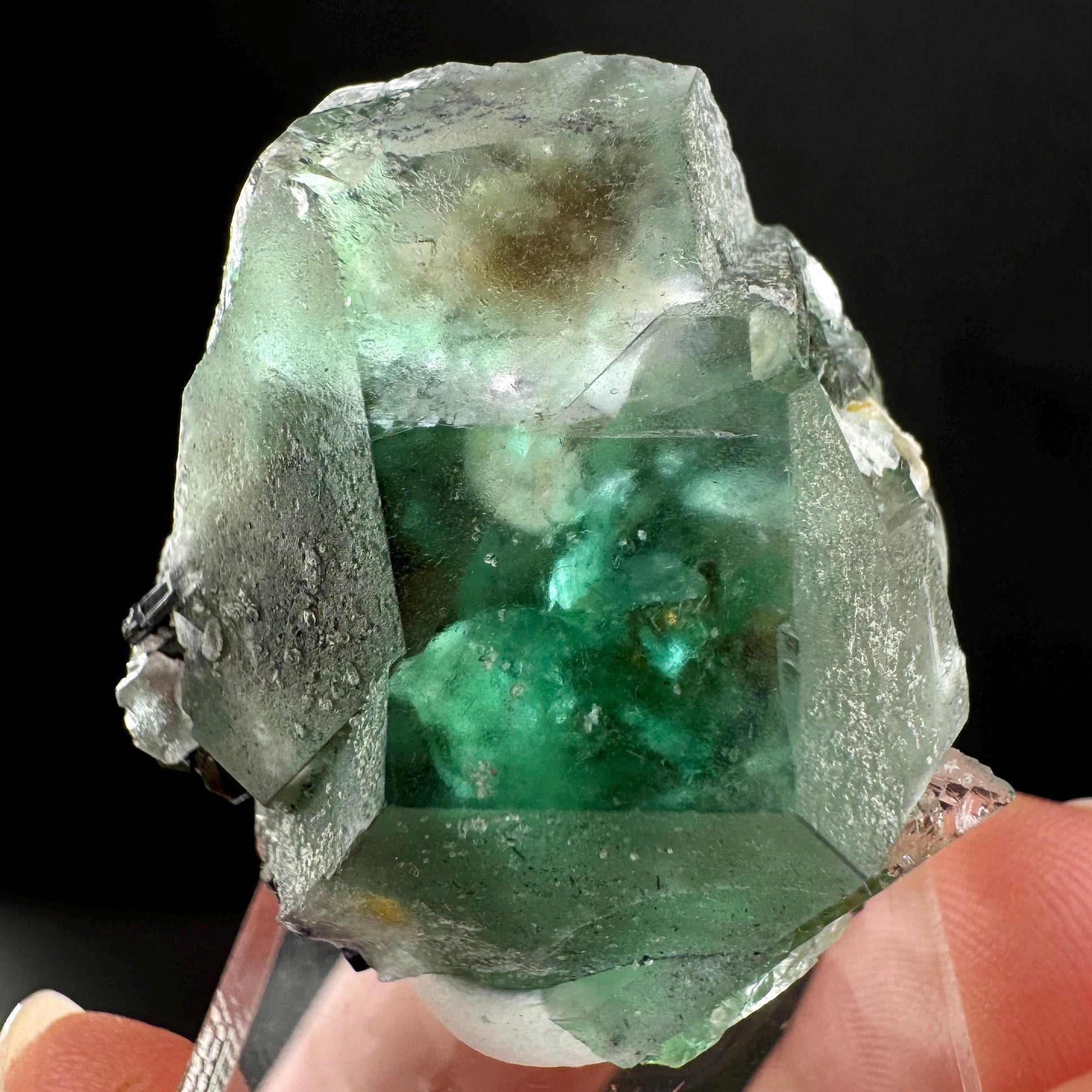 Twinned Fluorite w/ Black Tourmaline (Erongo, Namibia) | fluorite cluster, green fluorite, fluorite, mineral specimen, schorl