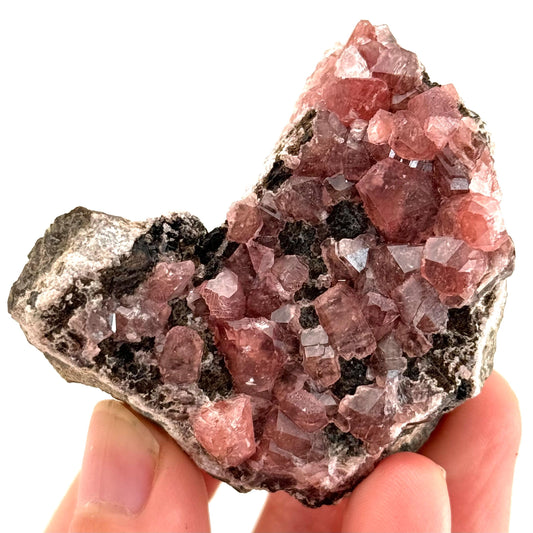 Rhodochrosite on Matrix (Peru) | rhodochrosite crystal, rare crystals, mineral specimen, rare minerals, natural rhodochrosite