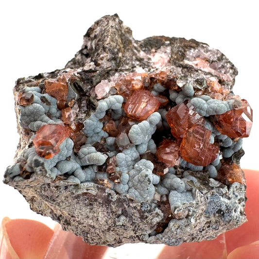 Rhodochrosite on Matrix (Peru) | rhodochrosite crystal, rare crystals, mineral specimen, rare minerals, natural rhodochrosite