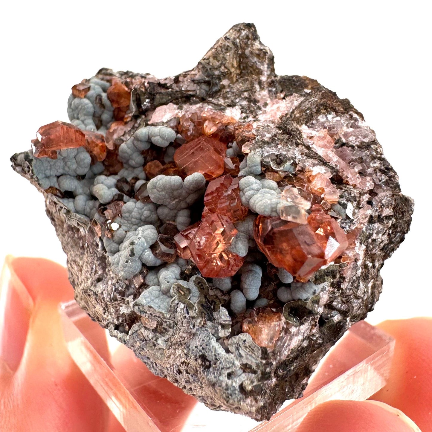 Rhodochrosite on Matrix (Peru) | rhodochrosite crystal, rare crystals, mineral specimen, rare minerals, natural rhodochrosite