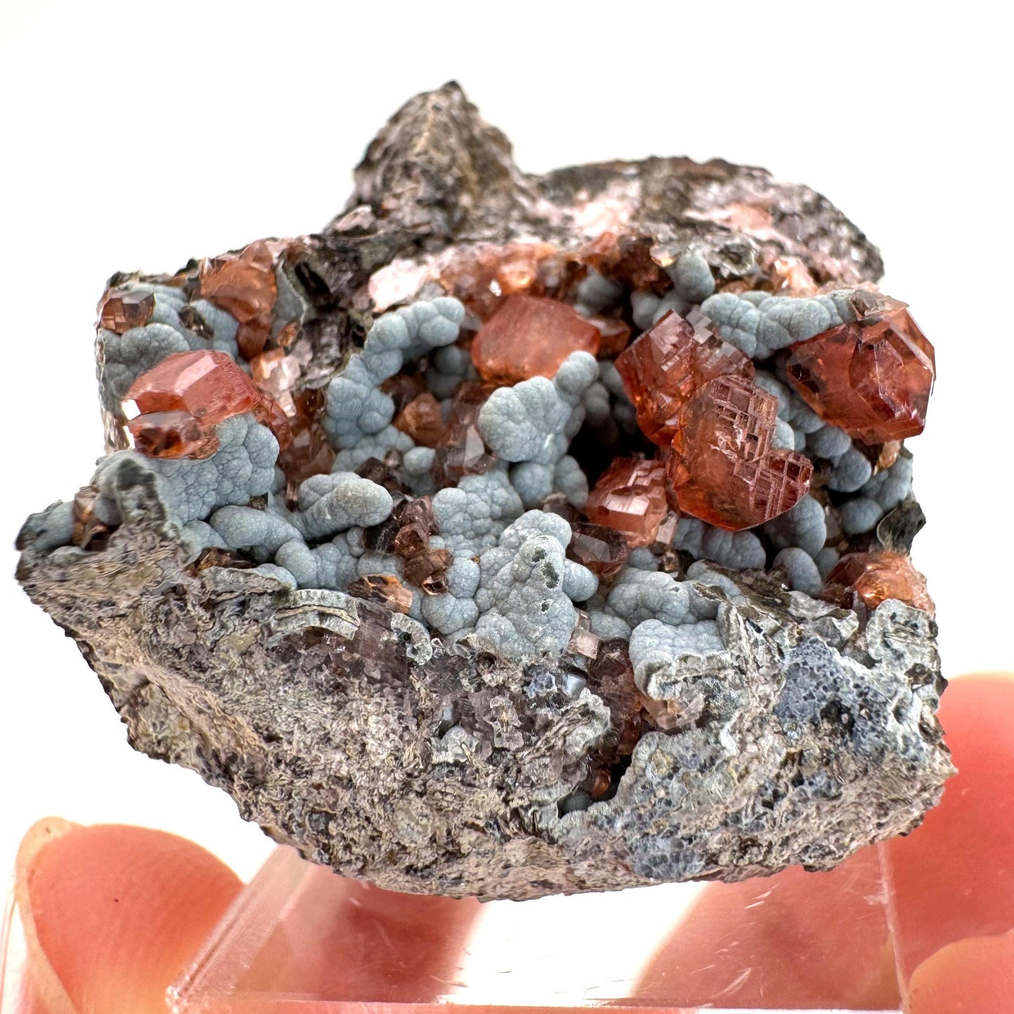 Rhodochrosite on Matrix (Peru) | rhodochrosite crystal, rare crystals, mineral specimen, rare minerals, natural rhodochrosite