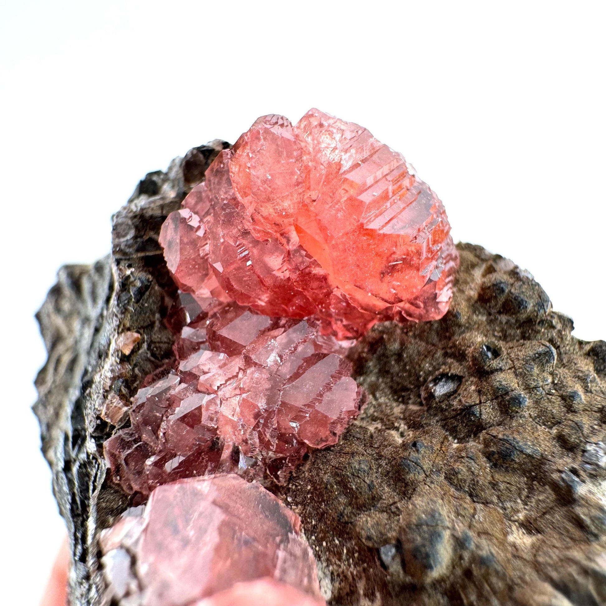 Rhodochrosite on Matrix (Peru) | rhodochrosite crystal, rare crystals, mineral specimen, rare minerals, natural rhodochrosite
