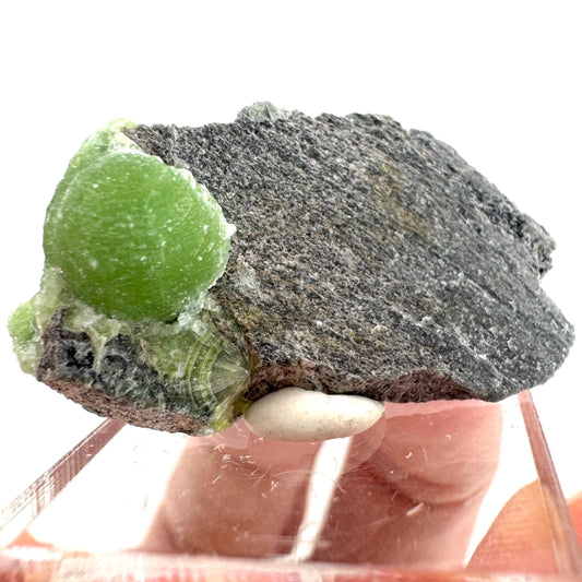 Wavellite Specimen (Arkansas, USA) | Wavellite crystal, wavellite cluster, mineral specimen, crystals