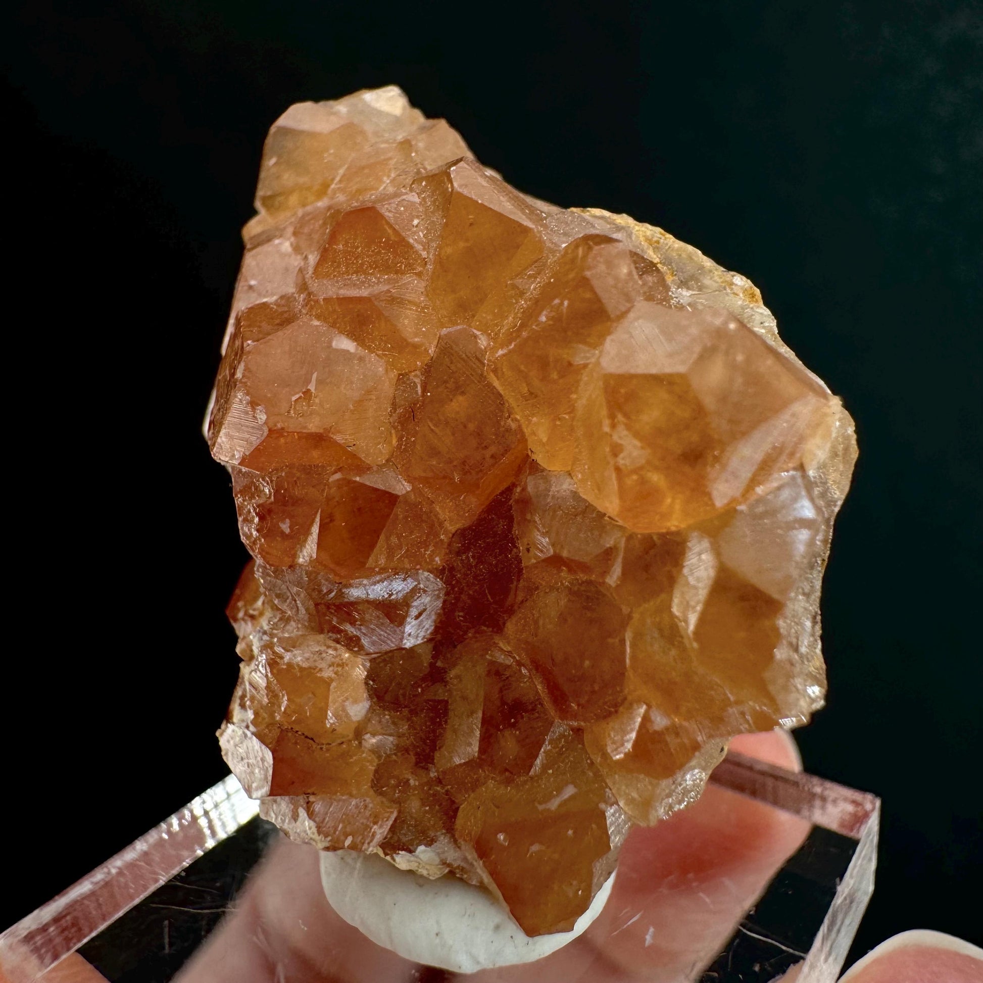 Hessonite Garnet (Pakistan) | rare garnet, orange garnet crystal, garnet crystal, mineral specimen