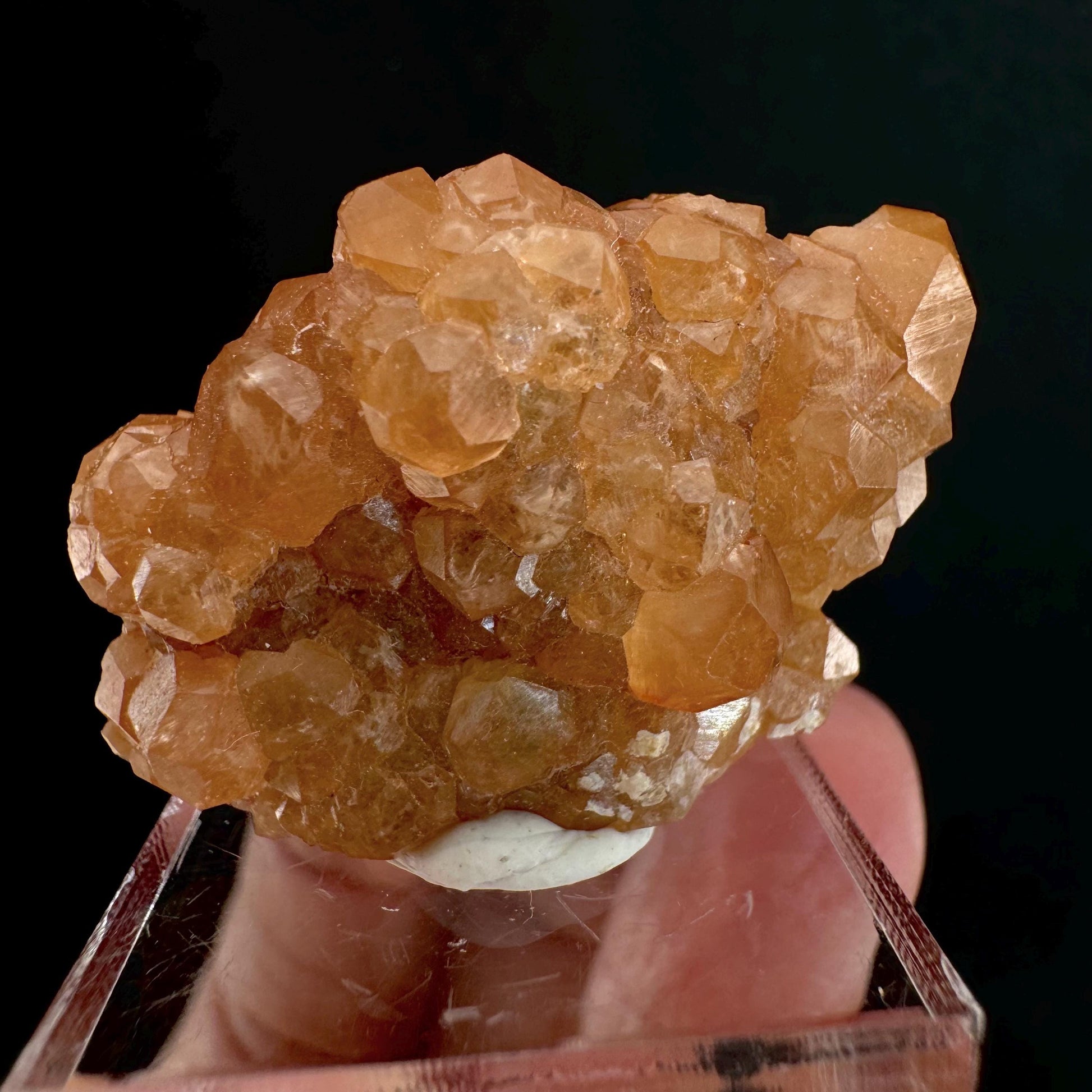 Hessonite Garnet (Pakistan) | rare garnet, orange garnet crystal, garnet crystal, mineral specimen