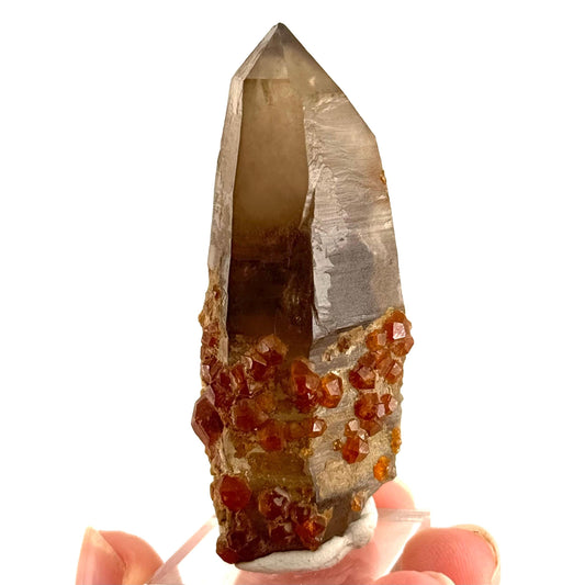Spessartine Garnet on Smoky Quartz (China) | garnet crystal, rare crystals, orange garnet, mineral specimen