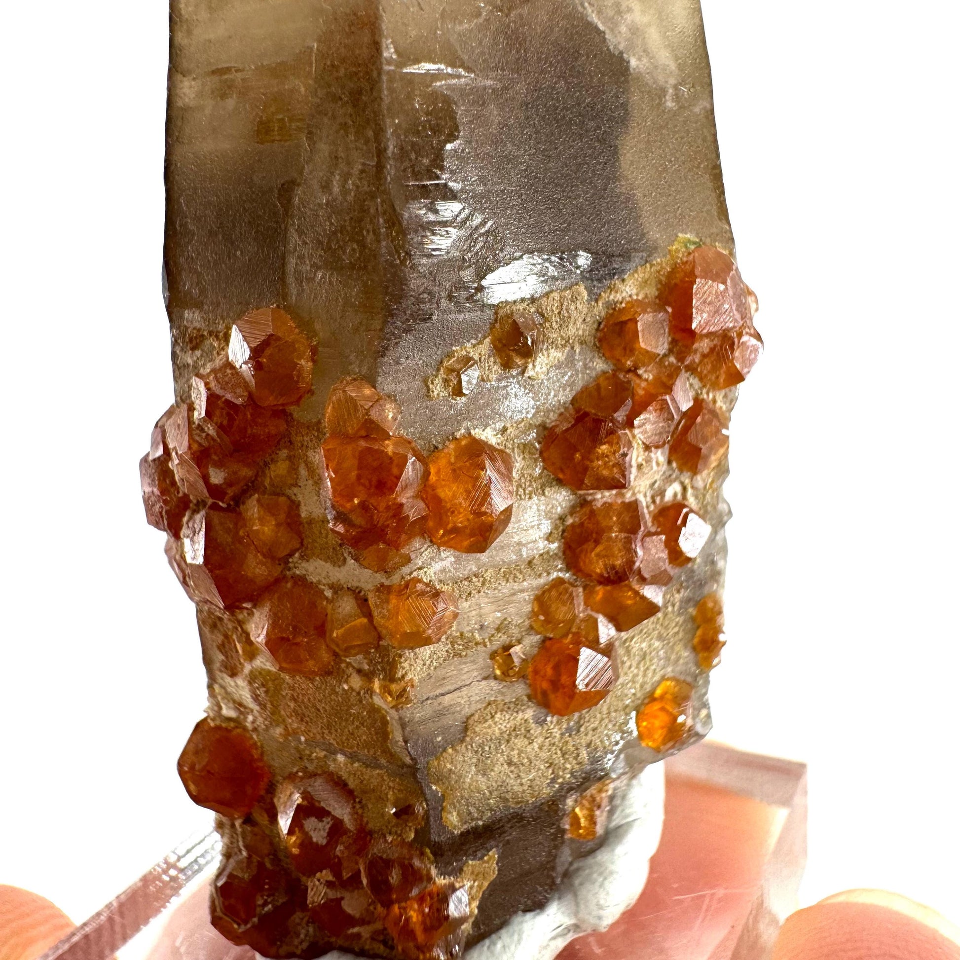 Spessartine Garnet on Smoky Quartz (China) | garnet crystal, rare crystals, orange garnet, mineral specimen