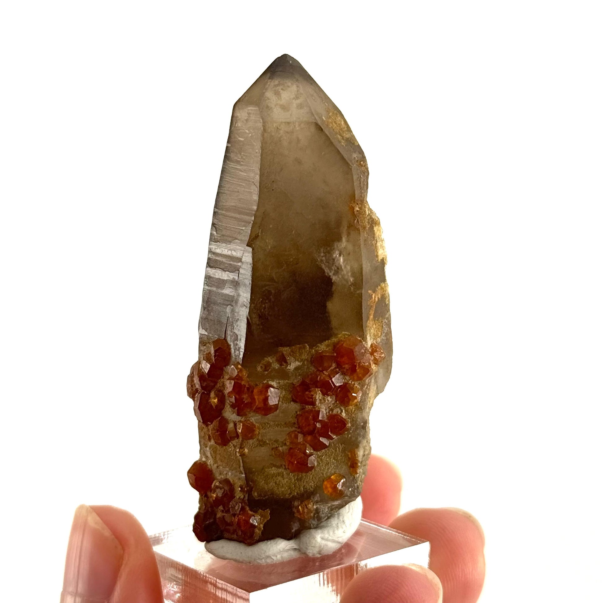 Spessartine Garnet on Smoky Quartz (China) | garnet crystal, rare crystals, orange garnet, mineral specimen