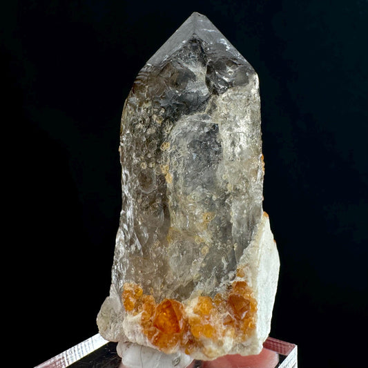 Spessartine Garnet on Smoky Quartz (China) | garnet crystal, rare crystals, orange garnet, mineral specimen