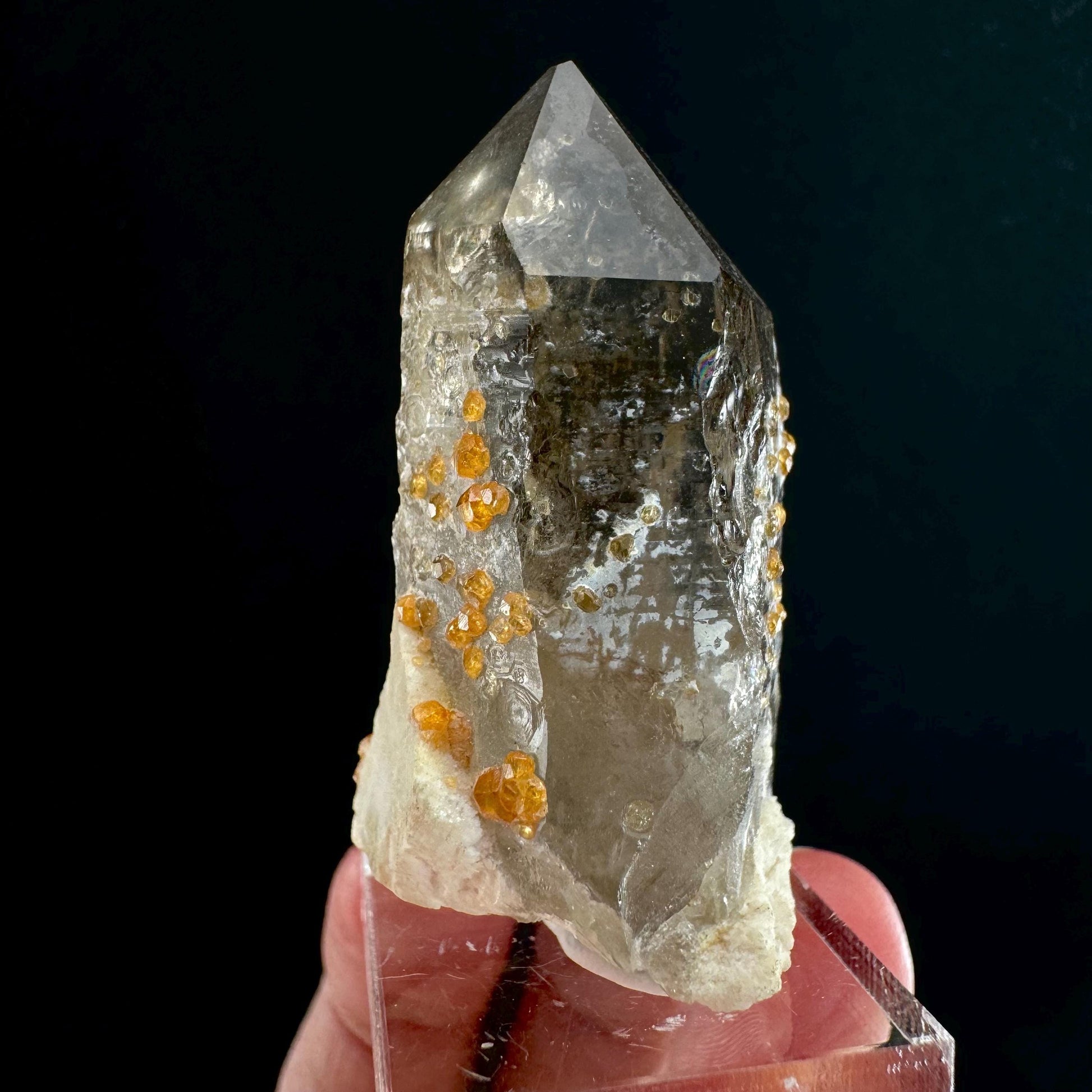Spessartine Garnet on Smoky Quartz (China) | garnet crystal, rare crystals, orange garnet, mineral specimen