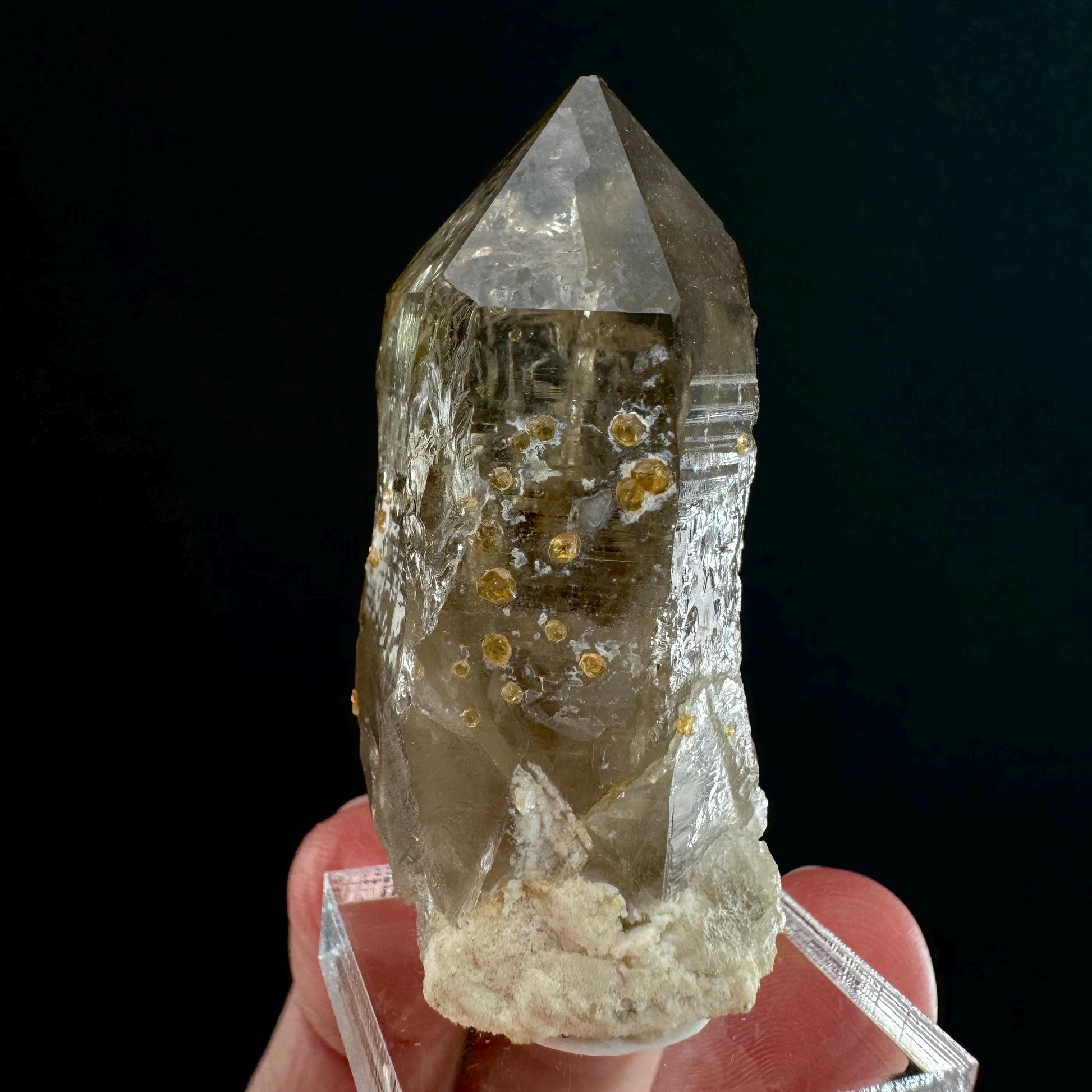 Spessartine Garnet on Smoky Quartz (China) | garnet crystal, rare crystals, orange garnet, mineral specimen
