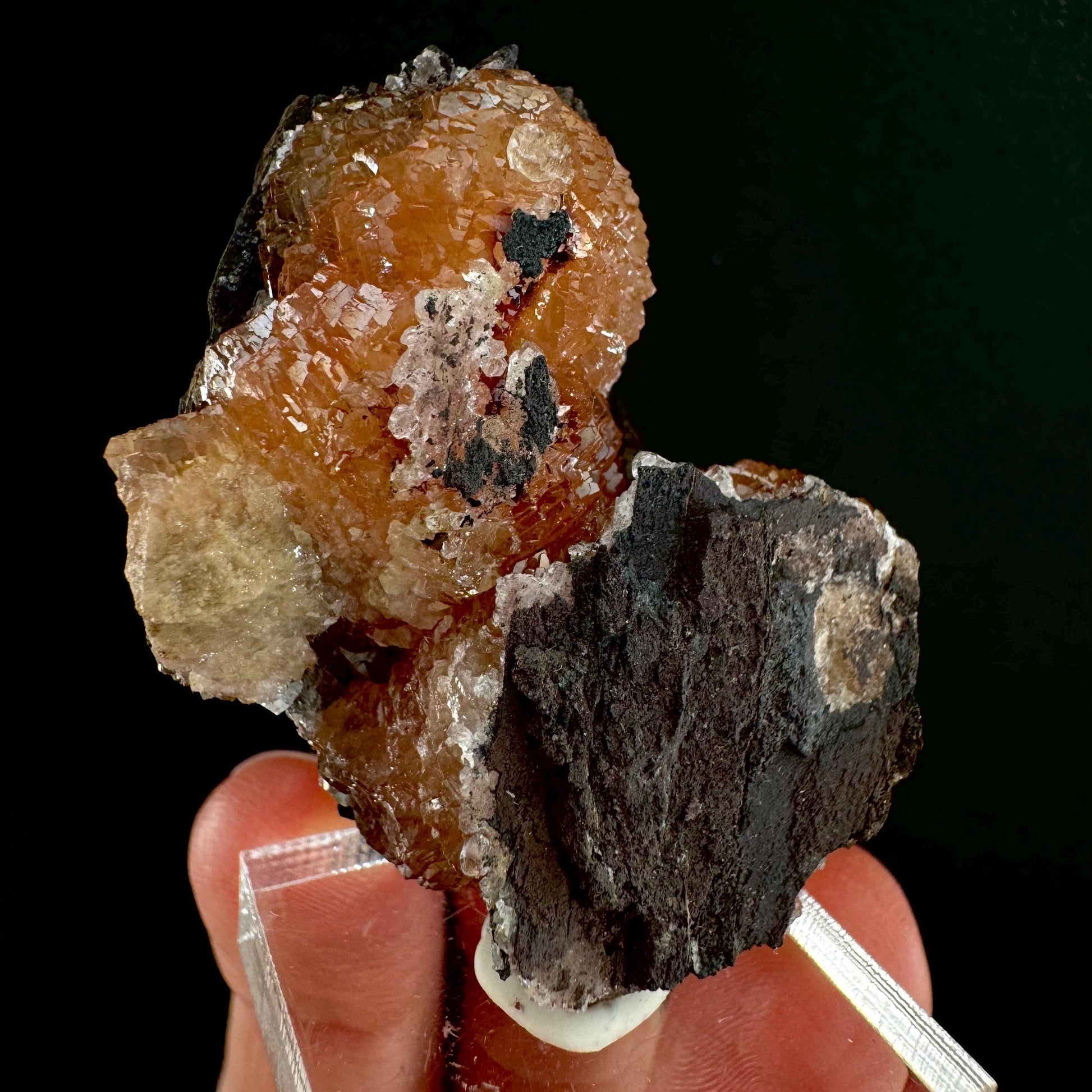 Olmiite (South Africa) | olmiite crystal, rare crystals, rare minerals, mineral specimen, crystals