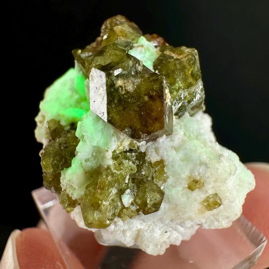 Andradite var. Demantoid w/ Hyalite Opal (Namibia) | green garnet, rare minerals, demantoid garnet, mineral specimen