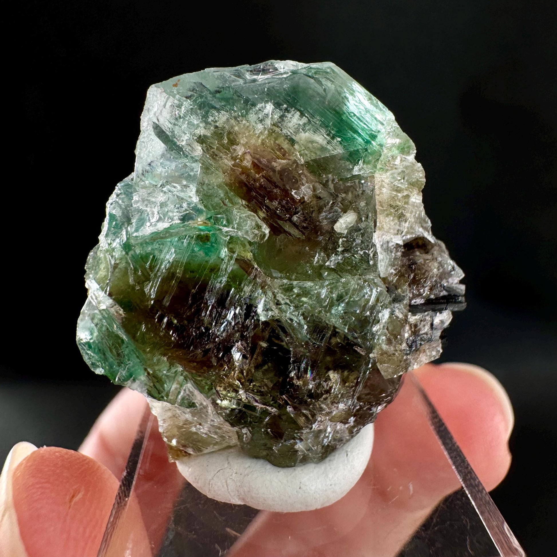 Twinned Fluorite w/ Black Tourmaline (Erongo, Namibia) | fluorite cluster, green fluorite, fluorite, mineral specimen, schorl